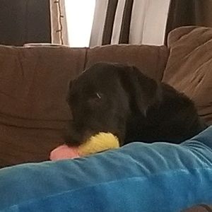 Meet your Posher, Carole